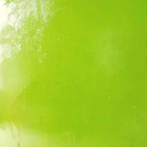 pittura con resina 